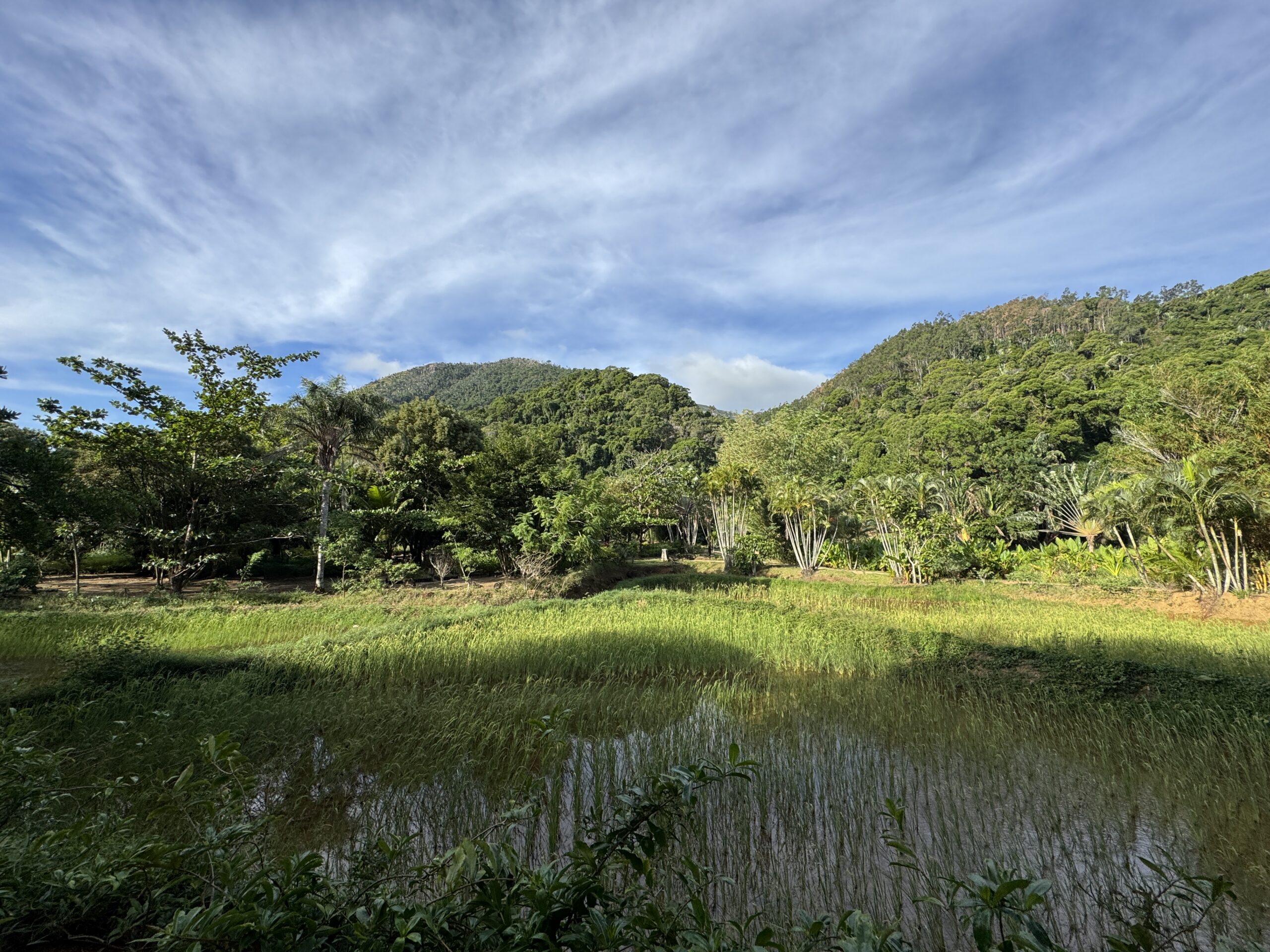 Nature walk at Domaine de la Cascade